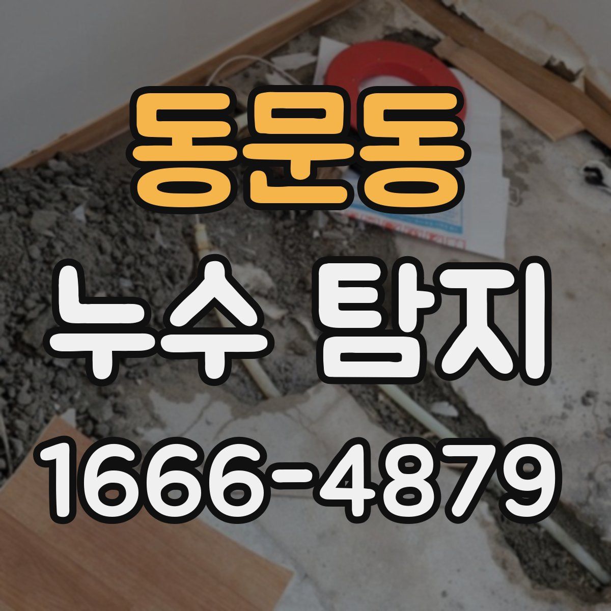 동문동 누수 탐지