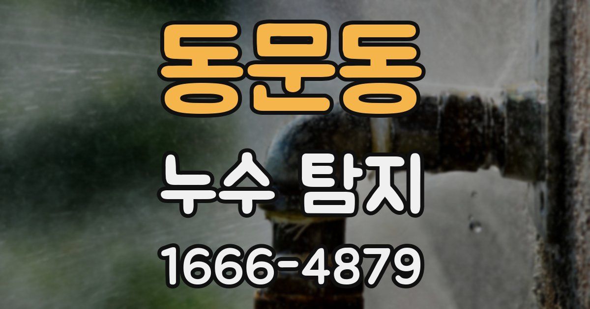 동문동 누수 탐지