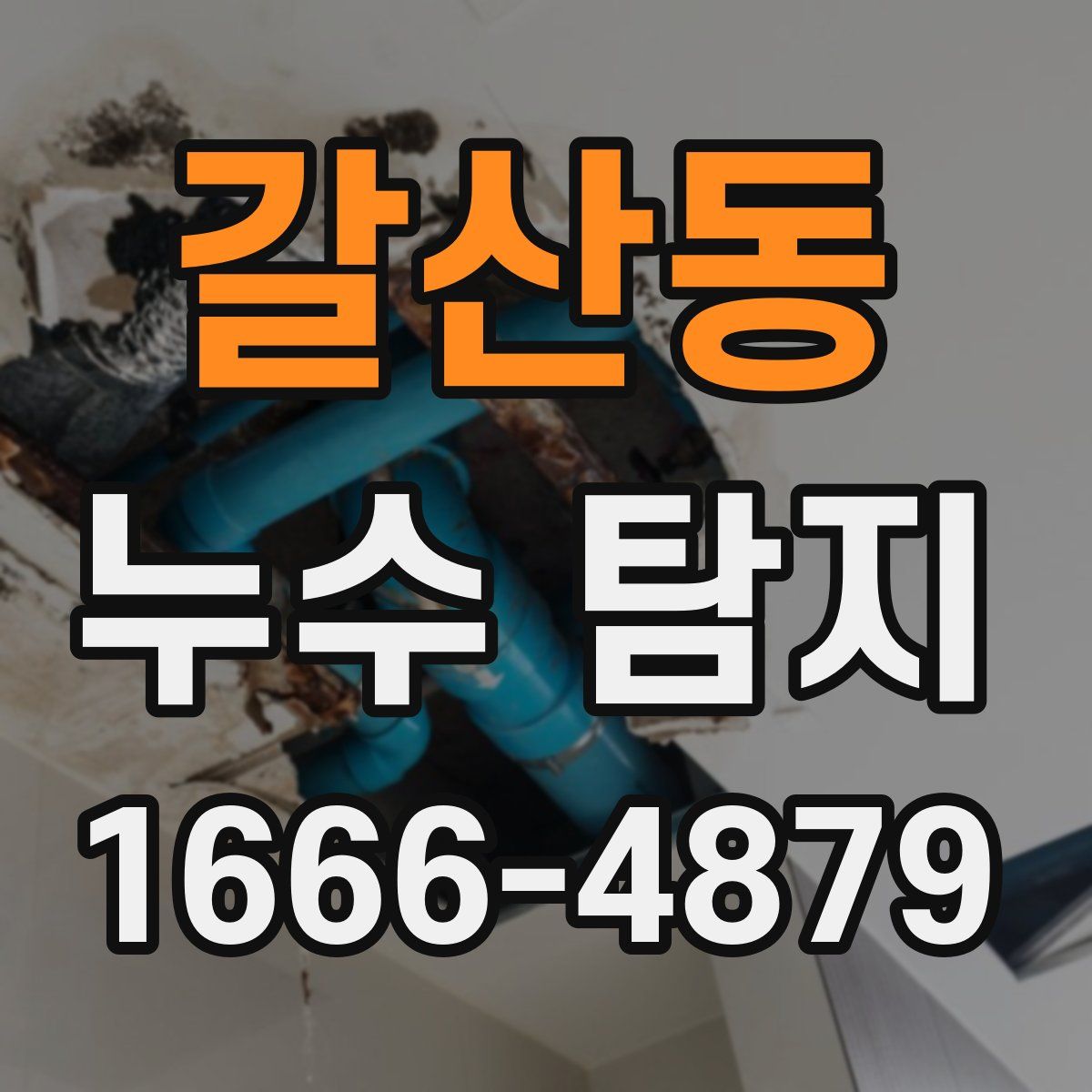 갈산동 누수 탐지