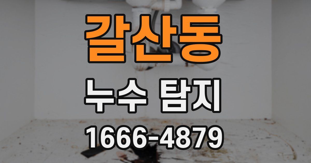 갈산동 누수 탐지