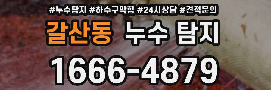 갈산동 누수 탐지