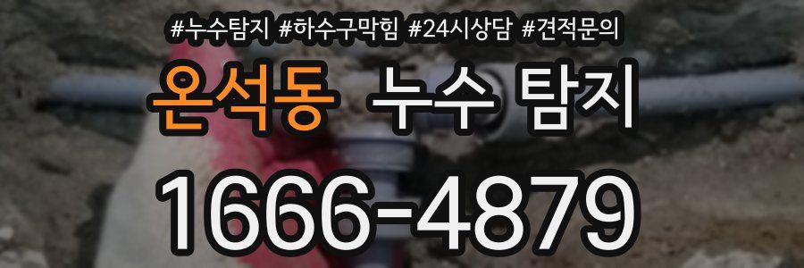 온석동 누수 탐지
