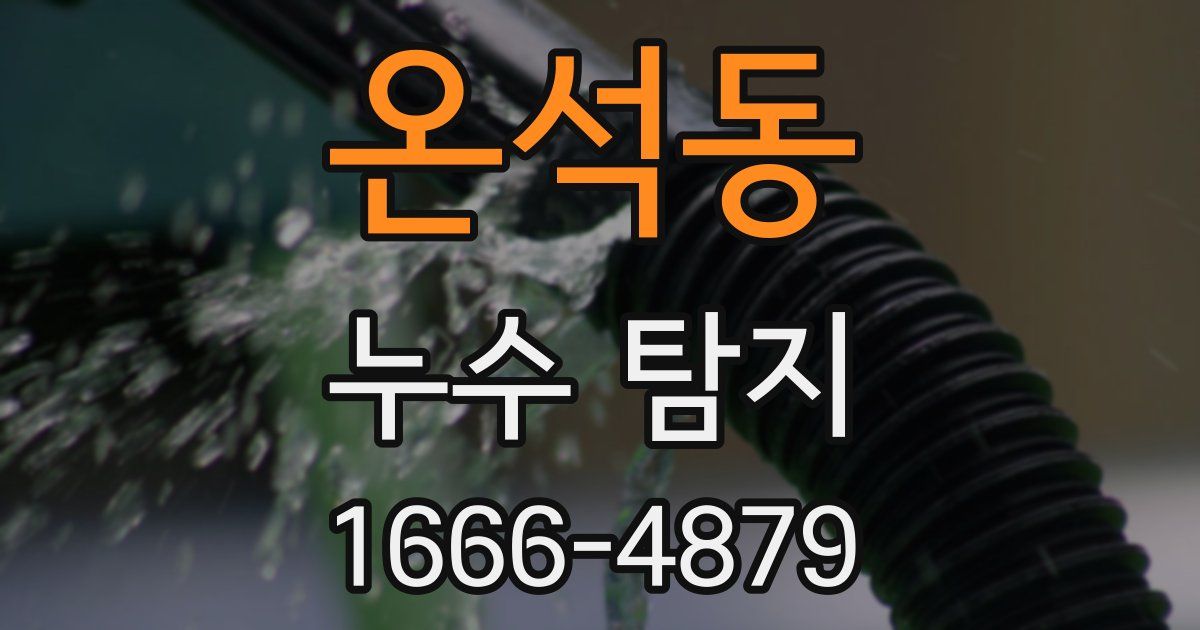 온석동 누수 탐지