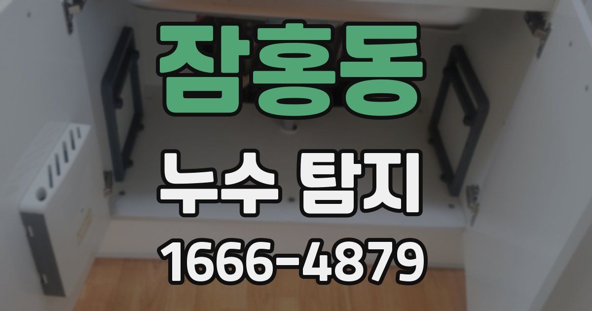 잠홍동 누수 탐지