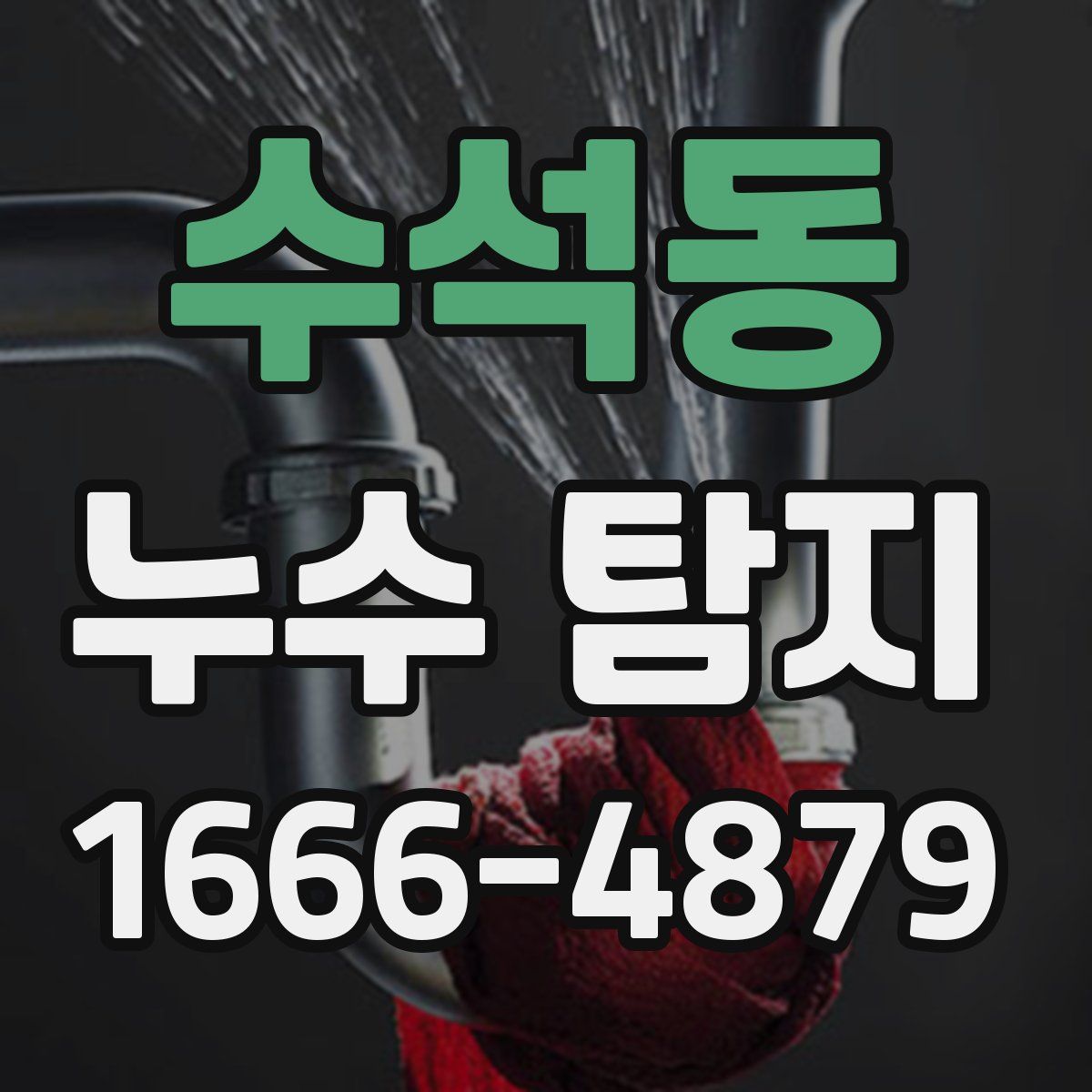 수석동 누수 탐지