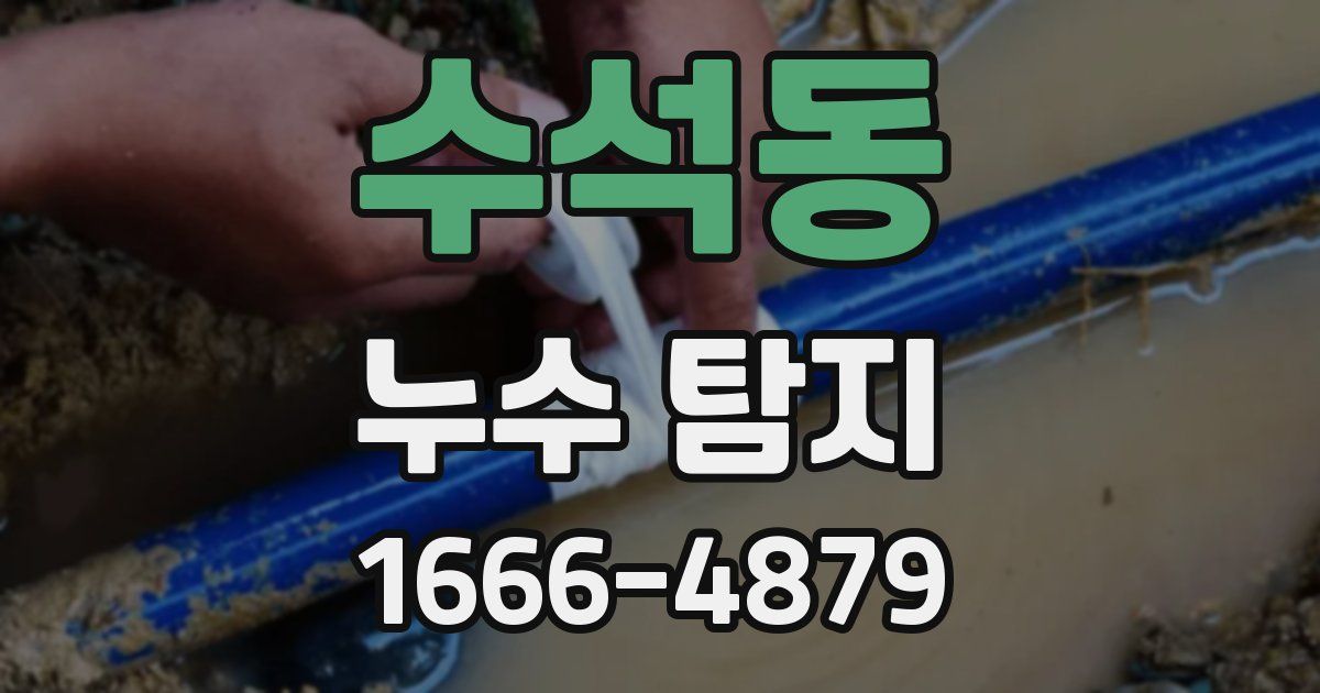 수석동 누수 탐지