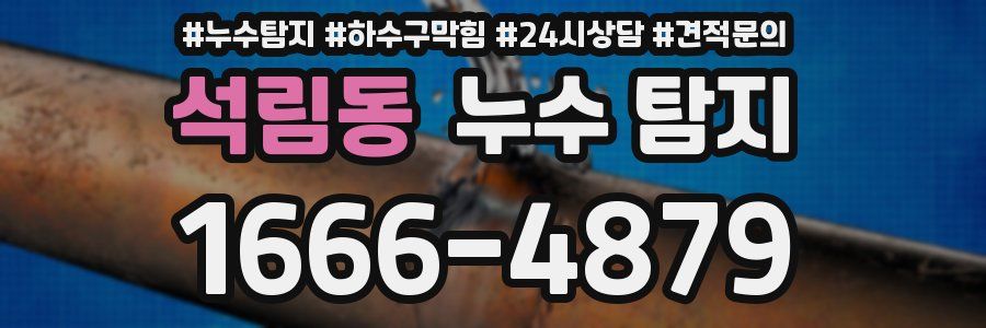 석림동 누수 탐지