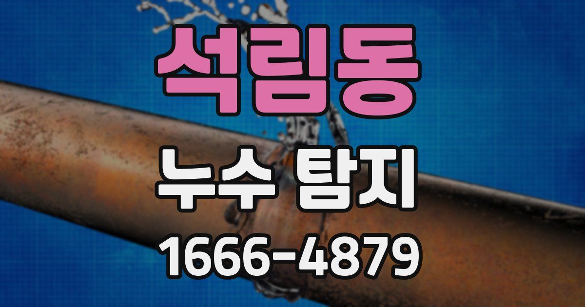 석림동 누수 탐지