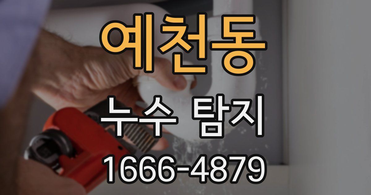 예천동 누수 탐지