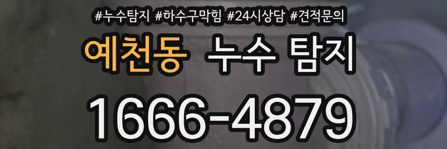 예천동 누수 탐지