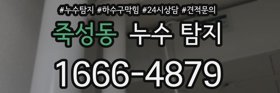 죽성동 누수 탐지
