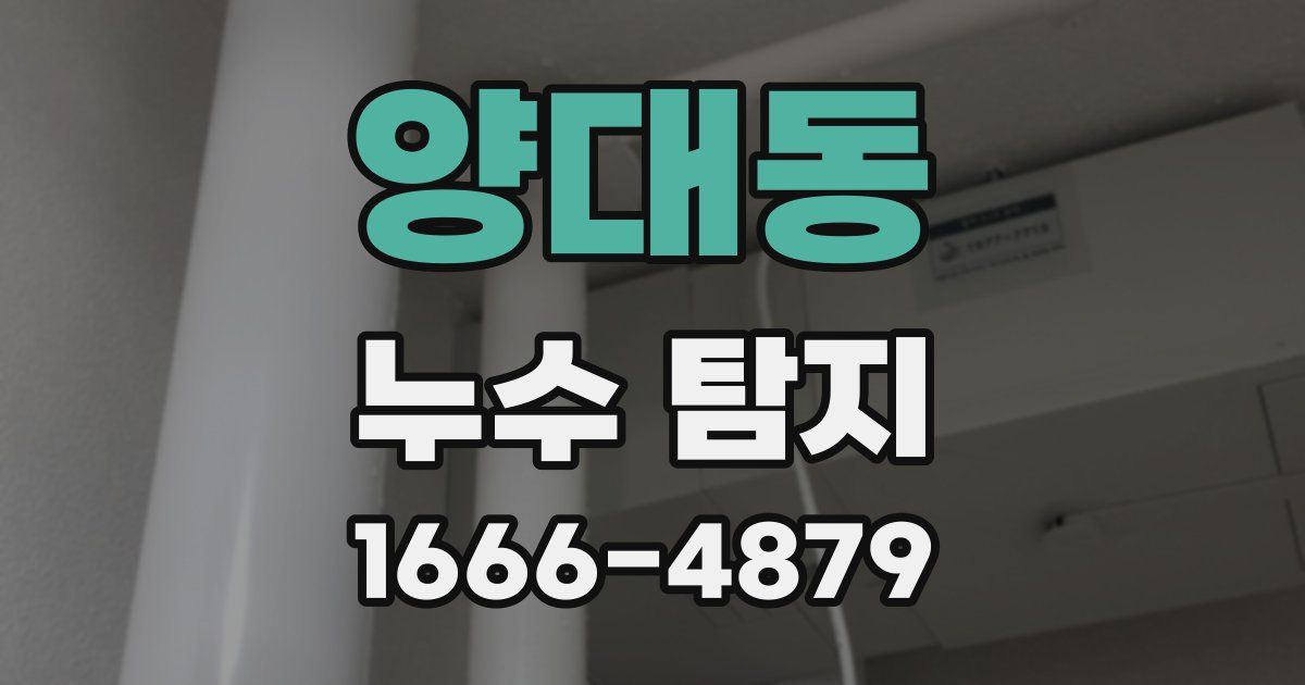 양대동 누수 탐지