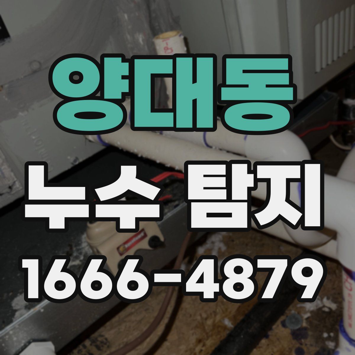 양대동 누수 탐지