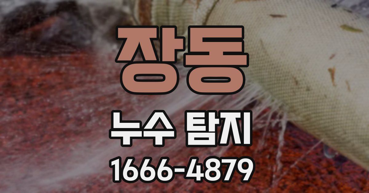 장동 누수 탐지