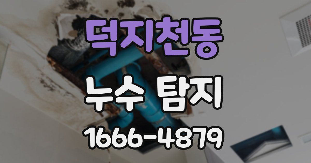 덕지천동 누수 탐지