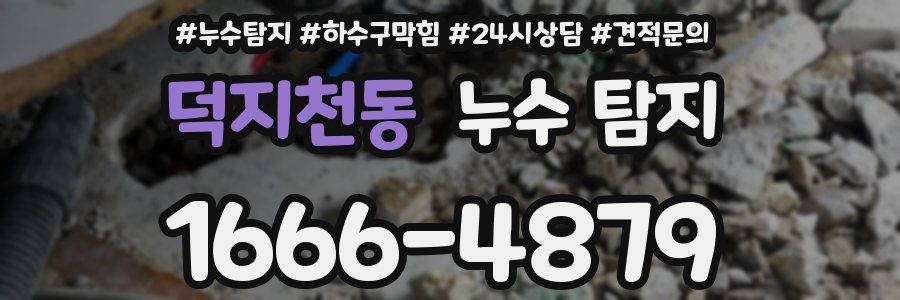 덕지천동 누수 탐지