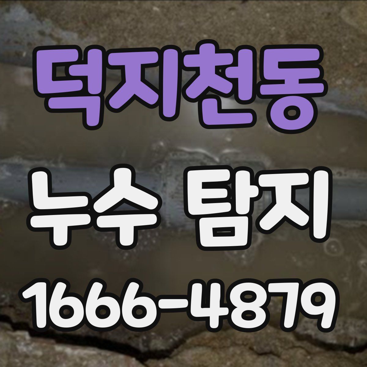 덕지천동 누수 탐지