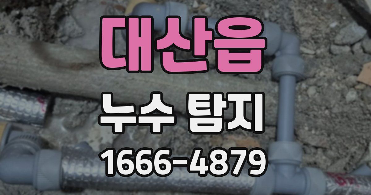 대산읍 누수 탐지