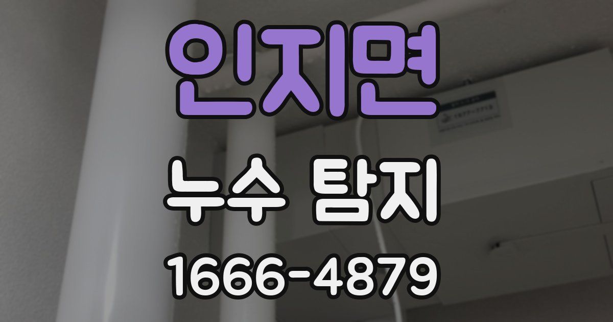 인지면 누수 탐지