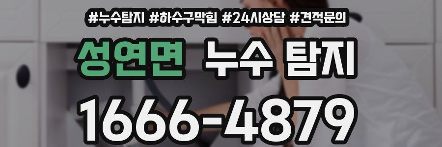 성연면 누수 탐지