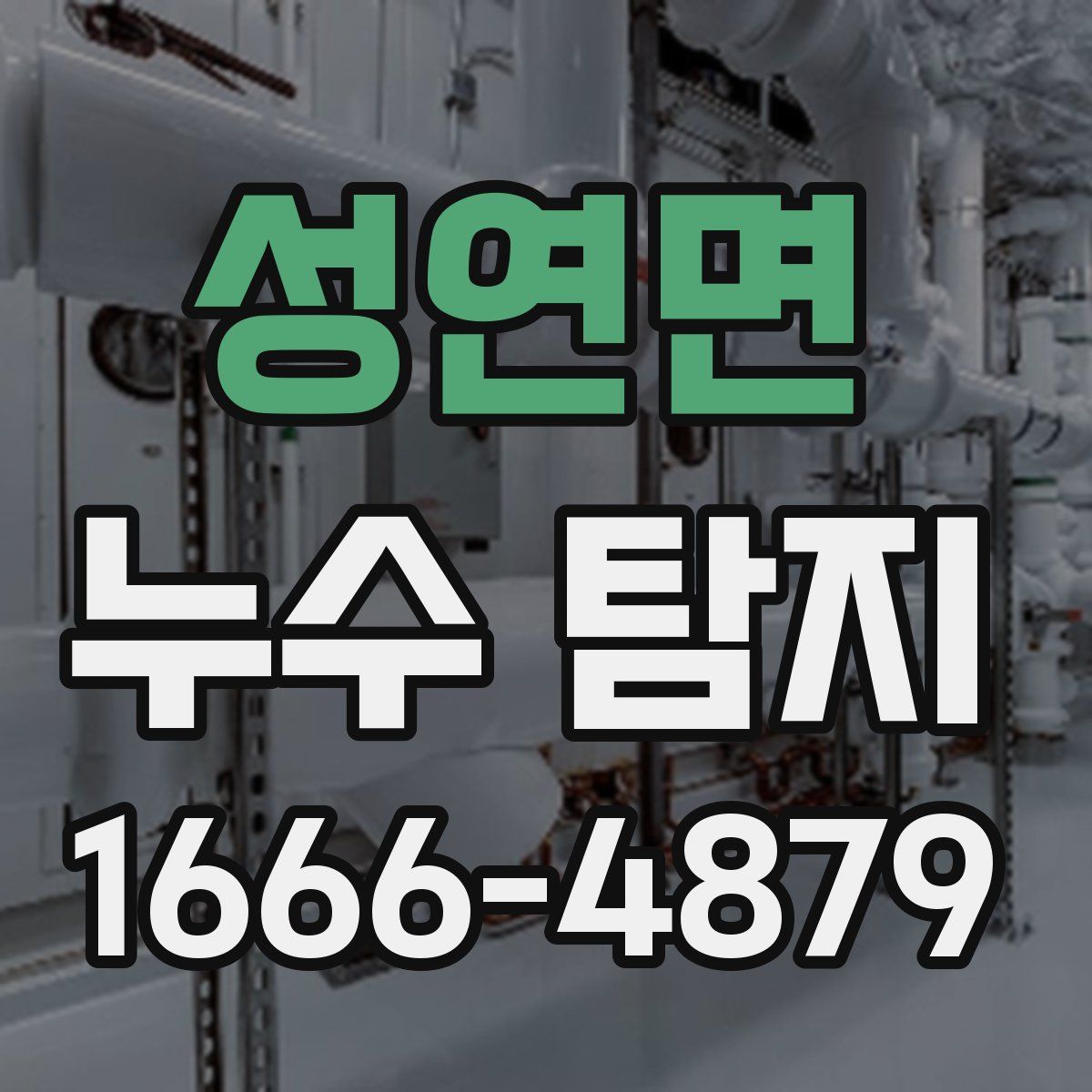 성연면 누수 탐지
