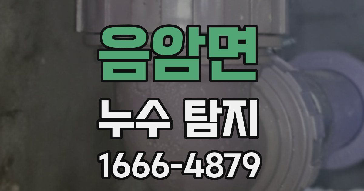 음암면 누수 탐지