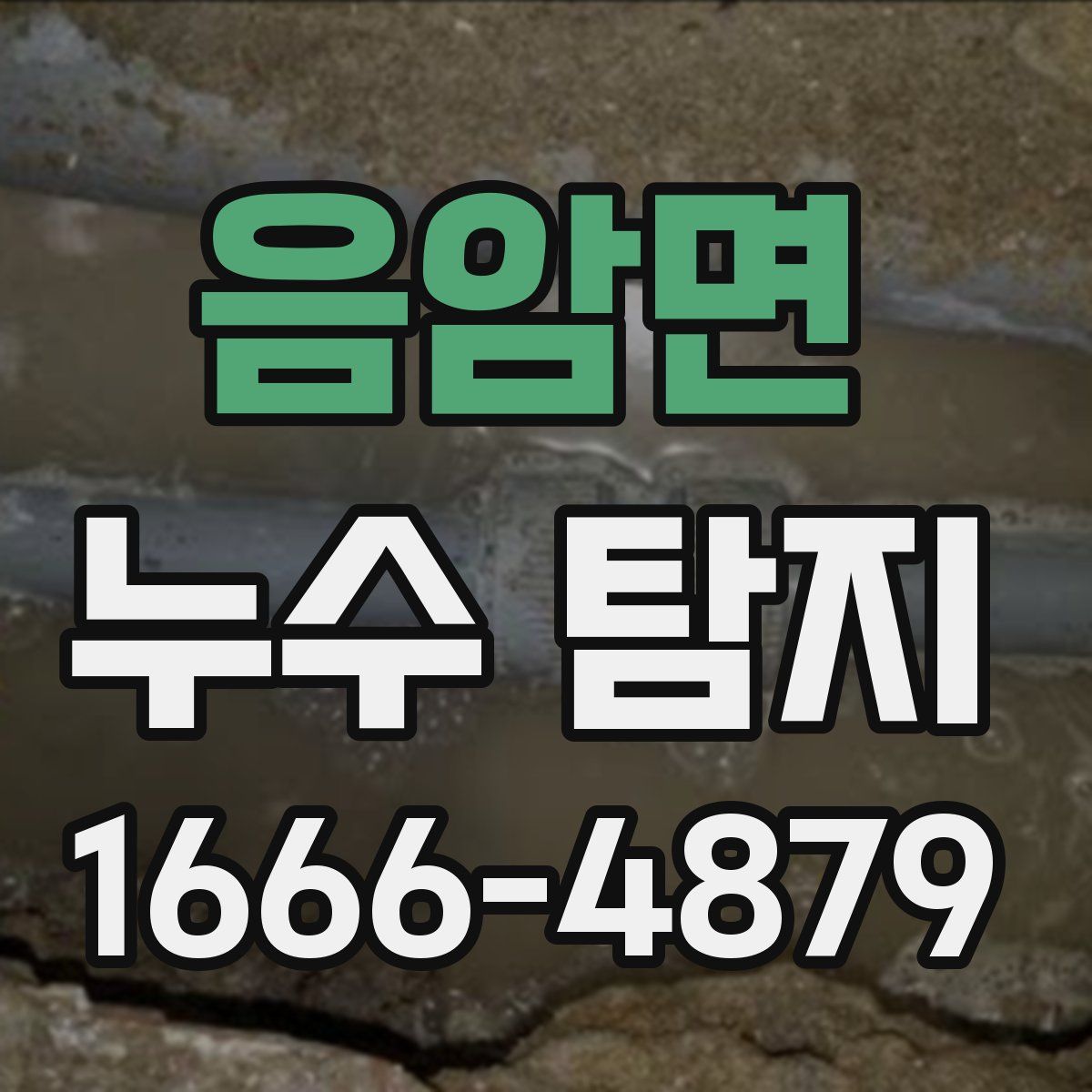 음암면 누수 탐지