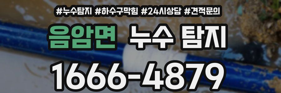 음암면 누수 탐지