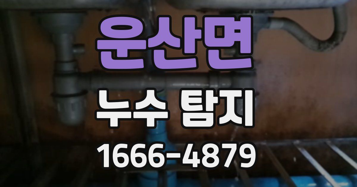 운산면 누수 탐지
