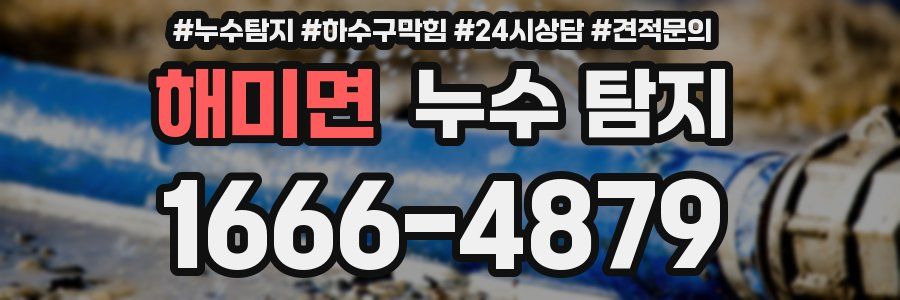 해미면 누수 탐지