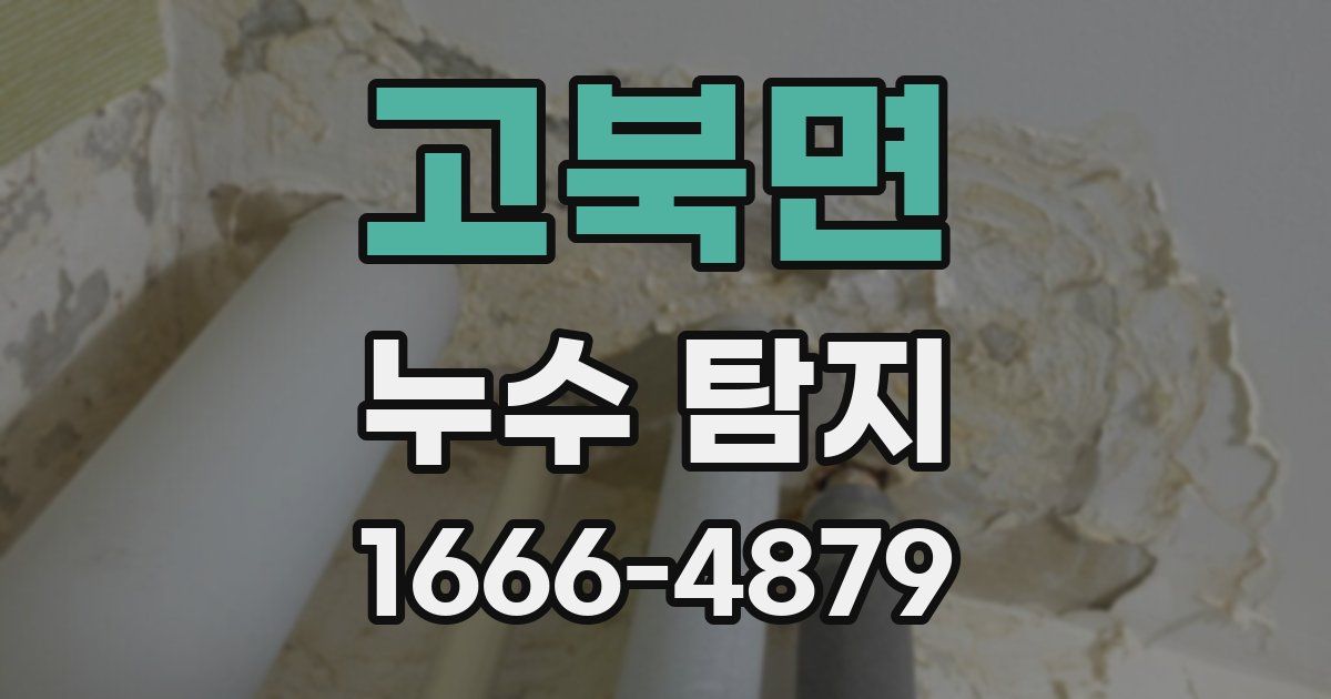 고북면 누수 탐지