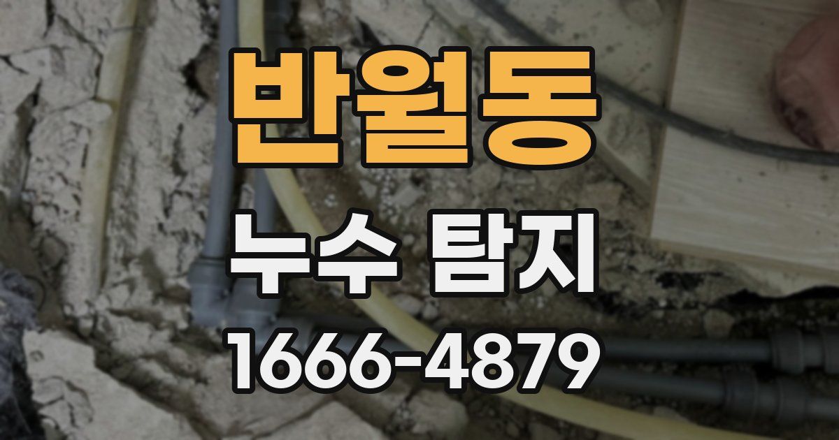 반월동 누수 탐지
