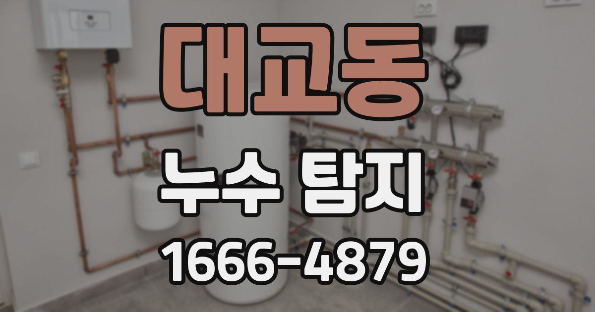 대교동 누수 탐지