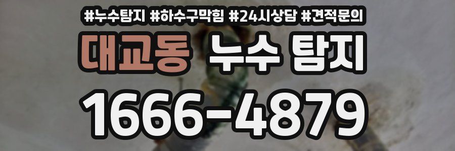 대교동 누수 탐지