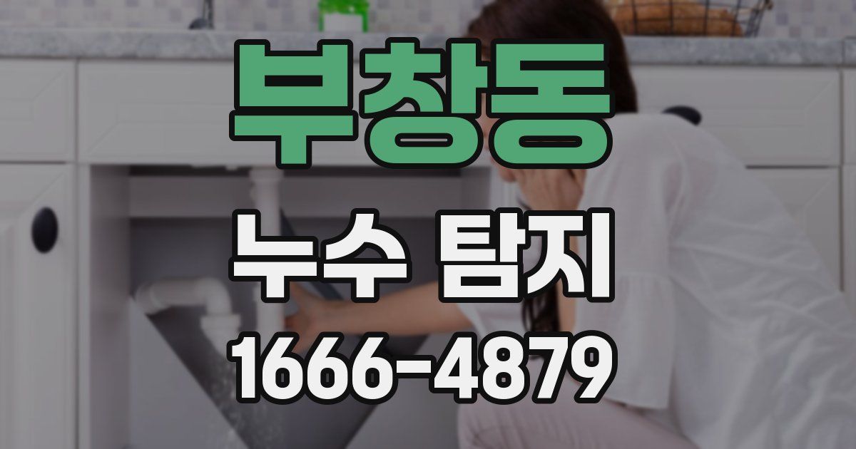 부창동 누수 탐지