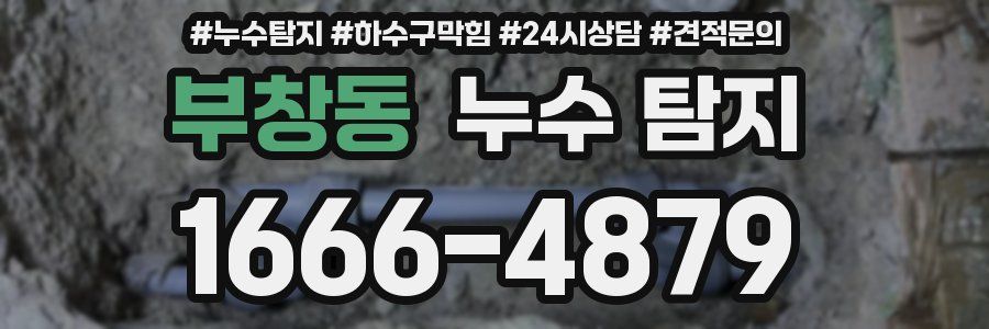 부창동 누수 탐지