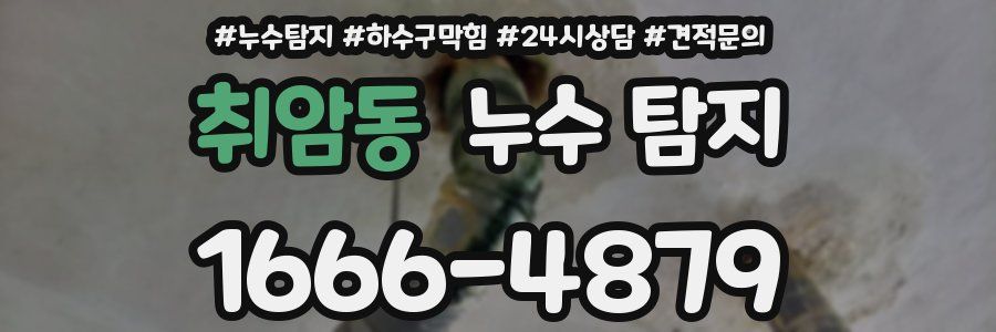 취암동 누수 탐지