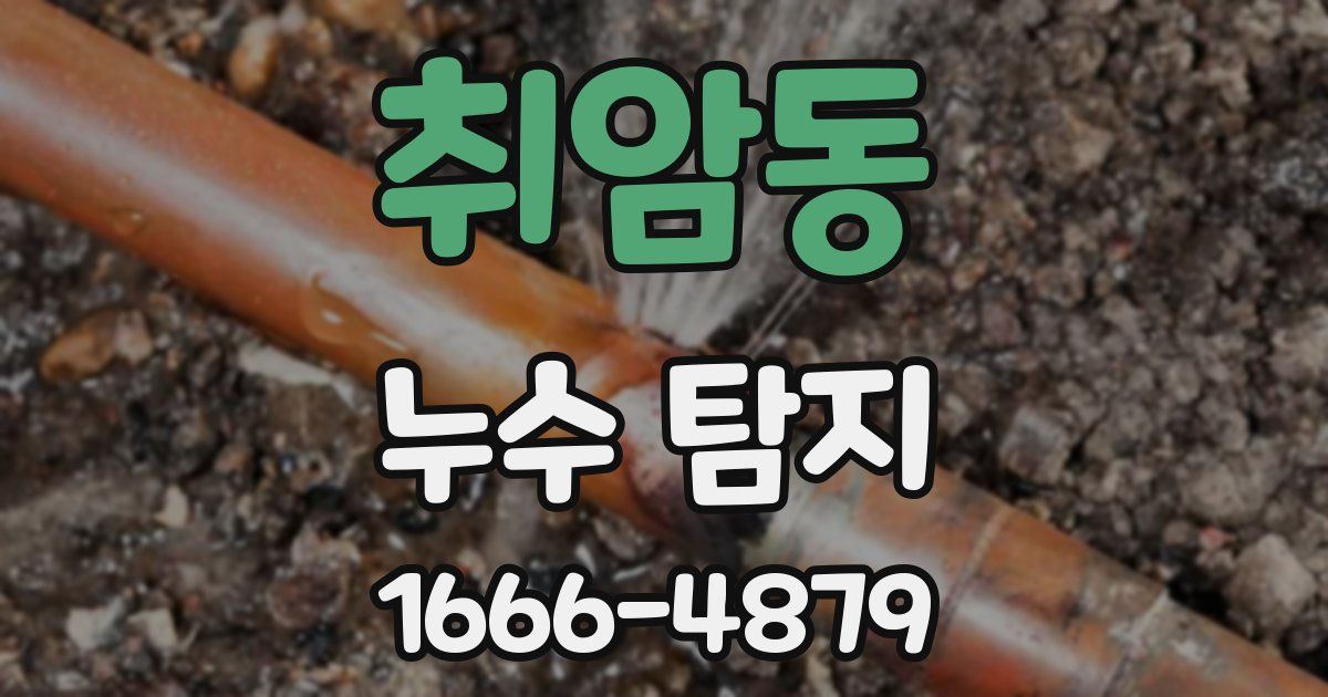 취암동 누수 탐지