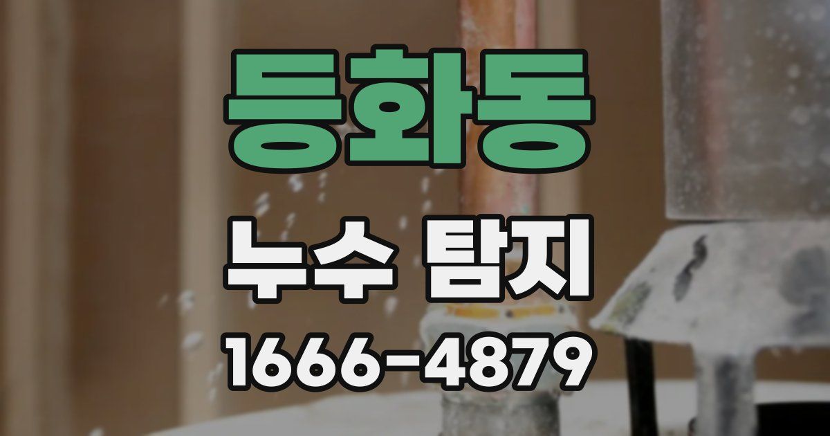 등화동 누수 탐지
