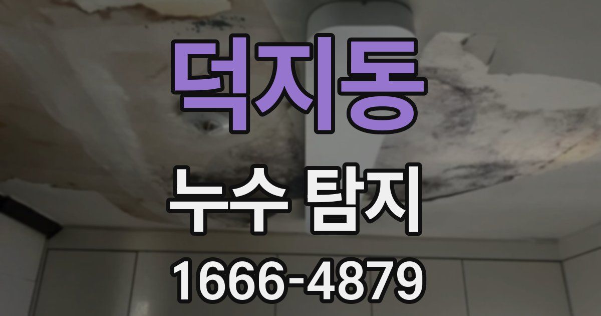 덕지동 누수 탐지