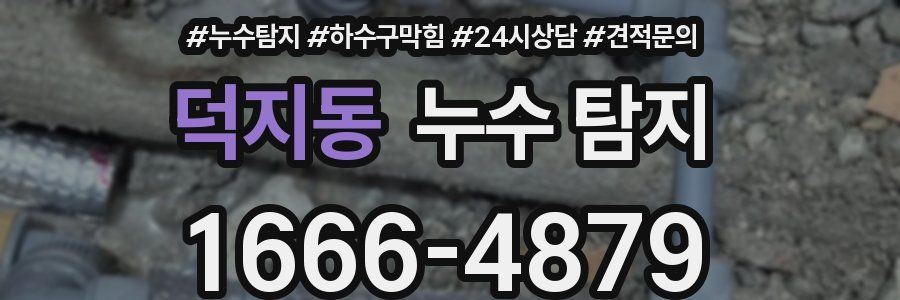 덕지동 누수 탐지