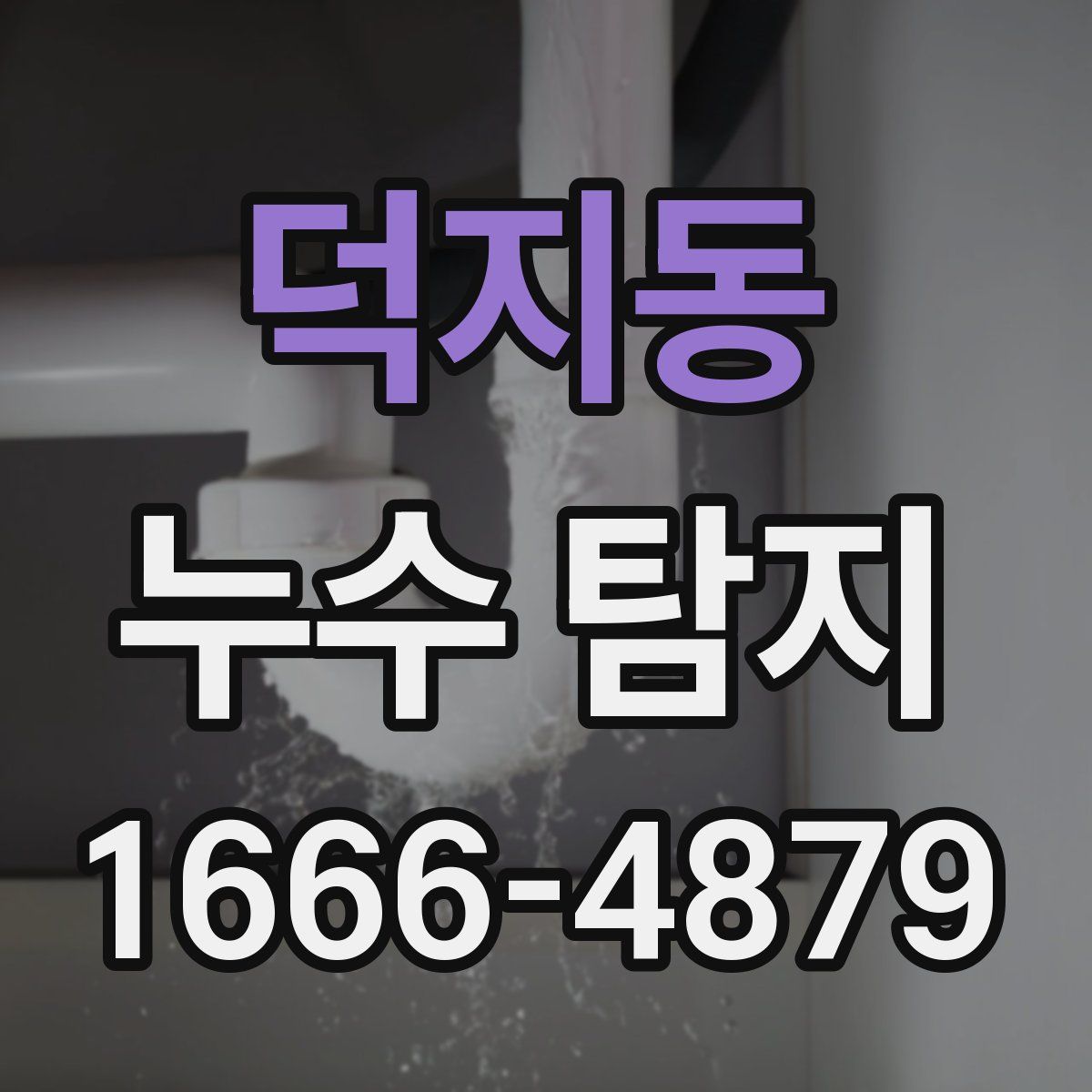 덕지동 누수 탐지