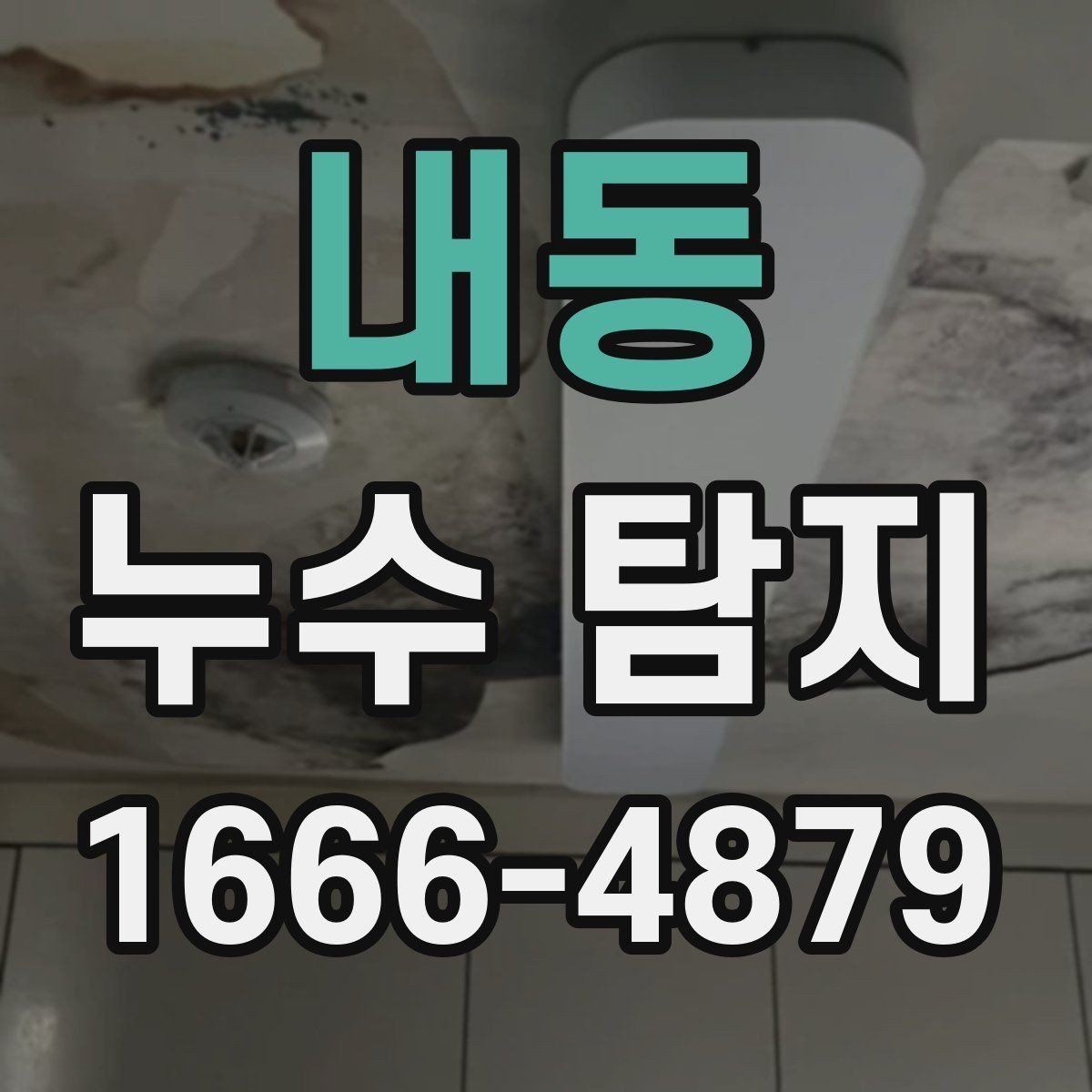 내동 누수 탐지 작업에서 중요하게 보는 배관 위치