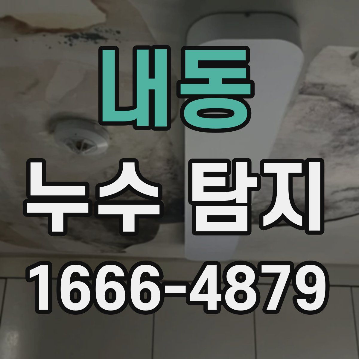 내동 누수 탐지
