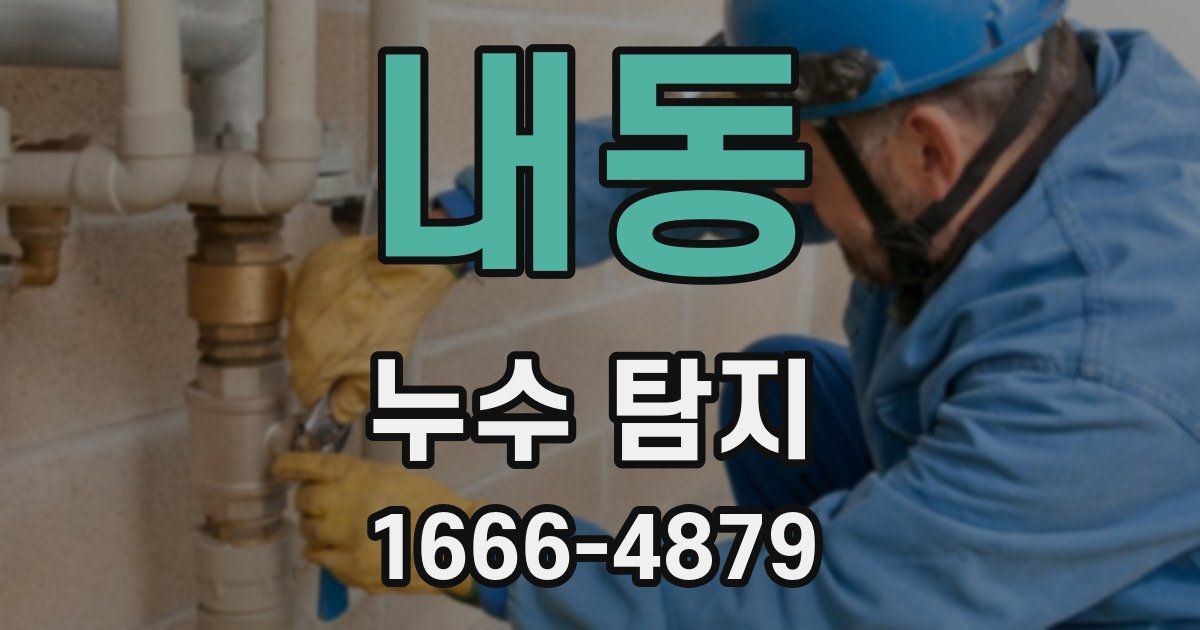 내동 누수 탐지