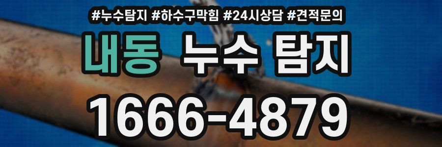 내동 누수 탐지