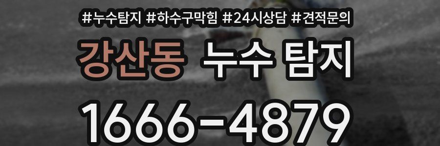 강산동 누수 탐지