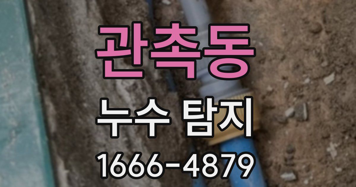 관촉동 누수 탐지
