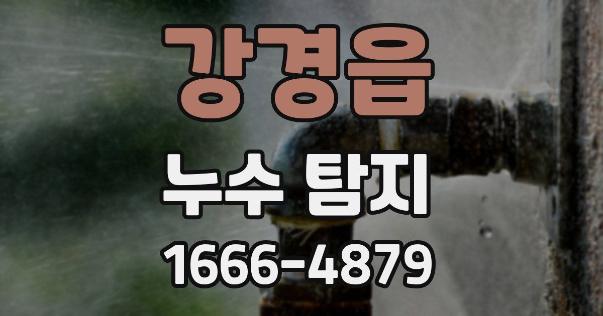 강경읍 누수 탐지