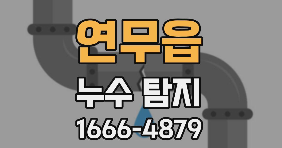 연무읍 누수 탐지